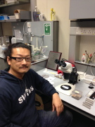 Image 3: Dr Moriaki Yasuhara working in his laboratory at School of Biological Sciences, The University of Hong Kong.